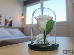 195997937_113319084288453_2131764409684050598_n_113319074288454 - Copy